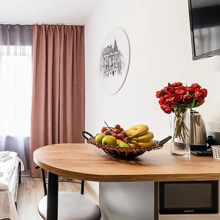 затишні смарт-квартири в історичному центрі! Uschhorod