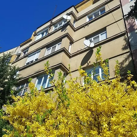 затишні смарт-квартири в історичному центрі! *