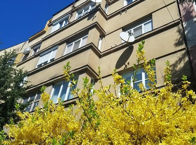 затишні смарт-квартири в історичному центрі! *