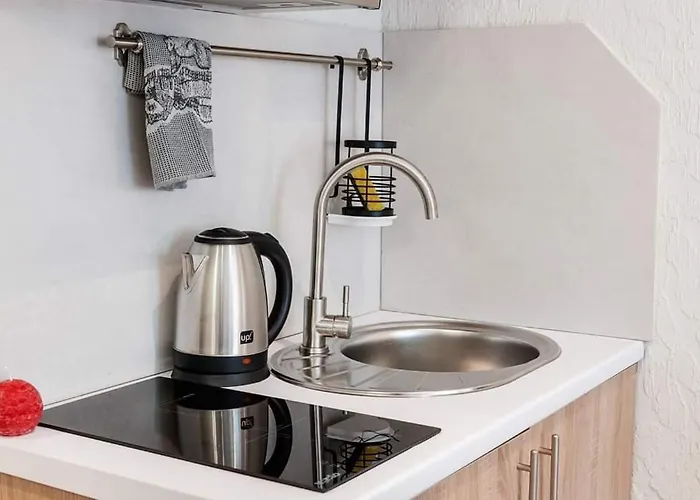 Apartment затишні смарт-квартири в історичному центрі! Uschhorod
